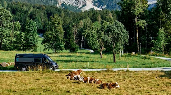 KATALOG & PREISLISTE