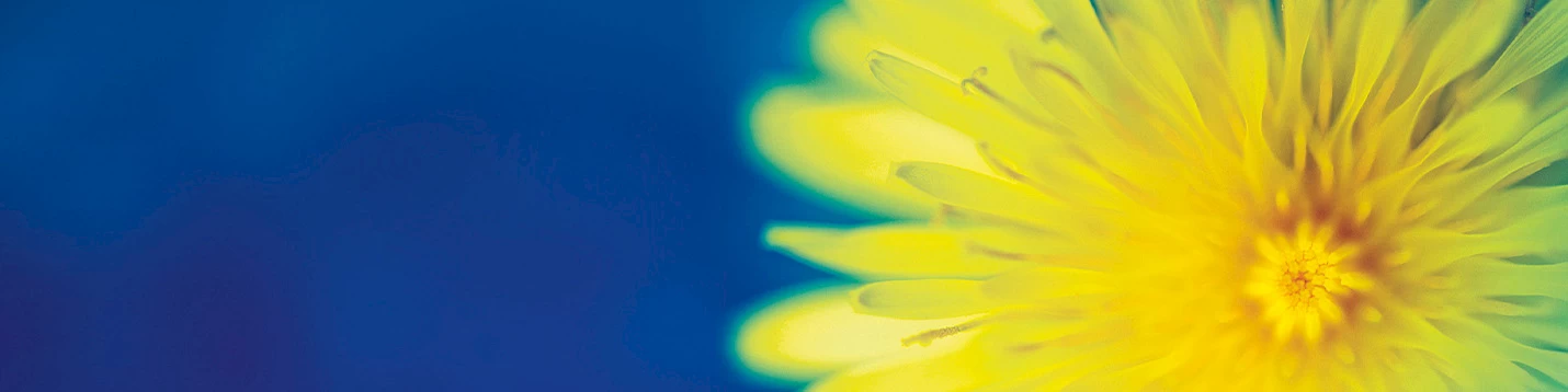 Frühlings-Check. Mit frischem Schwung in den Frühling für CHF 69.-